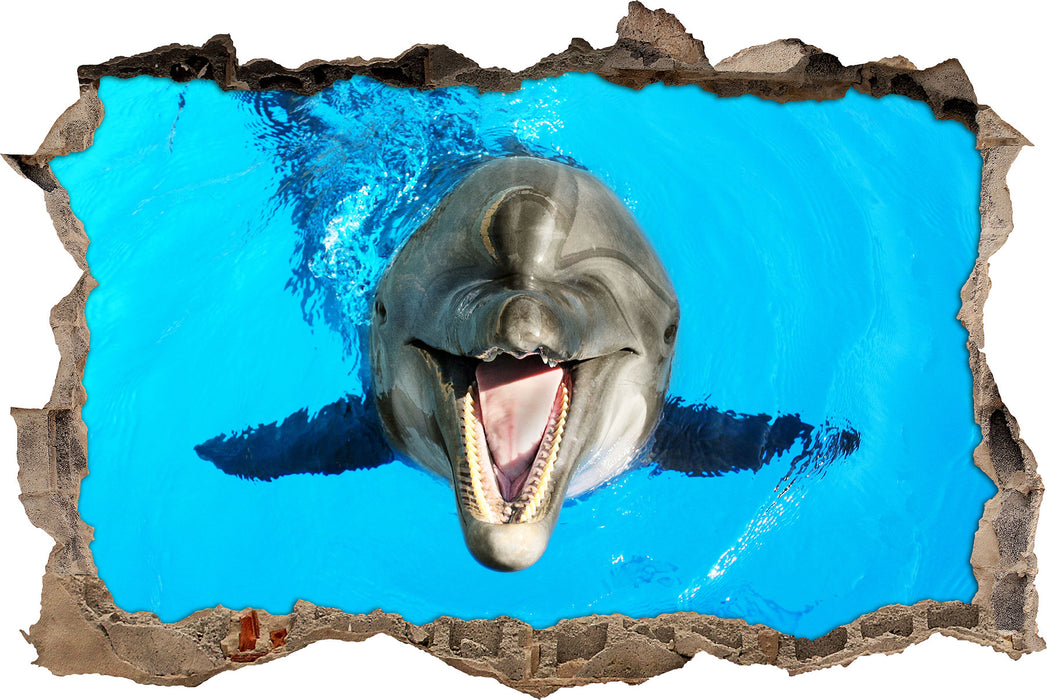 Delfin lacht  3D Wandtattoo Wanddurchbruch