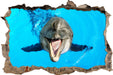 Delfin lacht  3D Wandtattoo Wanddurchbruch