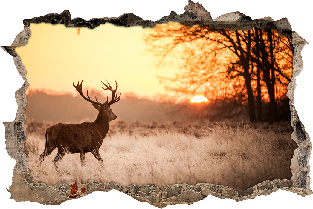 Pixxprint Hirsch im Sonnenuntergang, 3D Wandtattoo
