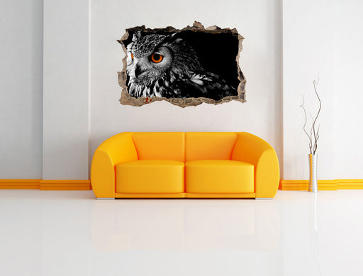 Dark Eule mit orangen Augen 3D Wandtattoo Wanddurchbruch Wand