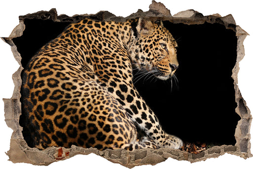 Anmutiger Leopard  3D Wandtattoo Wanddurchbruch