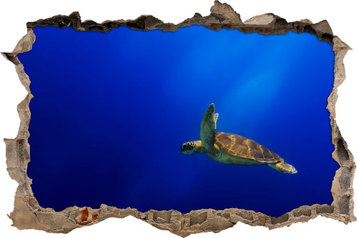 Alte Schildkröte im Meer  3D Wandtattoo Wanddurchbruch
