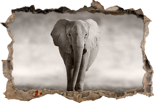 Einsamer Elefant  3D Wandtattoo Wanddurchbruch