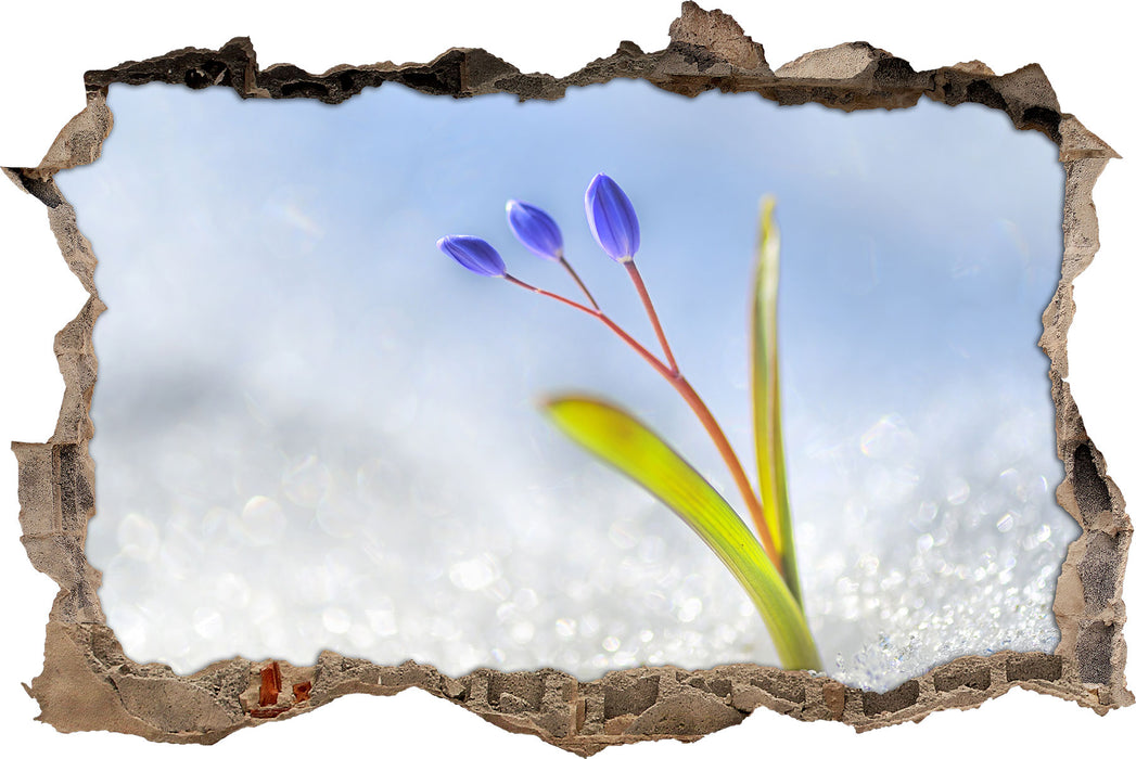 Pixxprint Blaue Knospen im Schnee, 3D Wandtattoo
