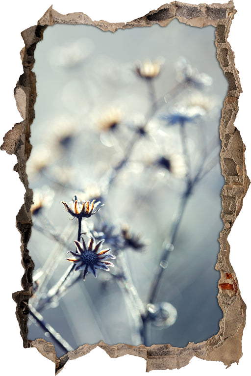 Pflanzen im Frost  3D Wandtattoo Wanddurchbruch