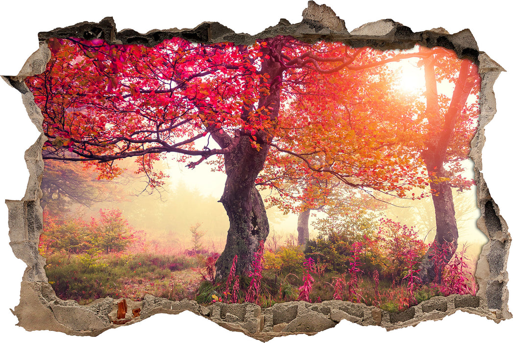 Pixxprint Ruhige Herbstlandschaft, 3D Wandtattoo