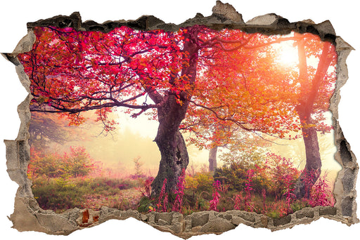 Ruhige Herbstlandschaft 3D Wandtattoo Wanddurchbruch