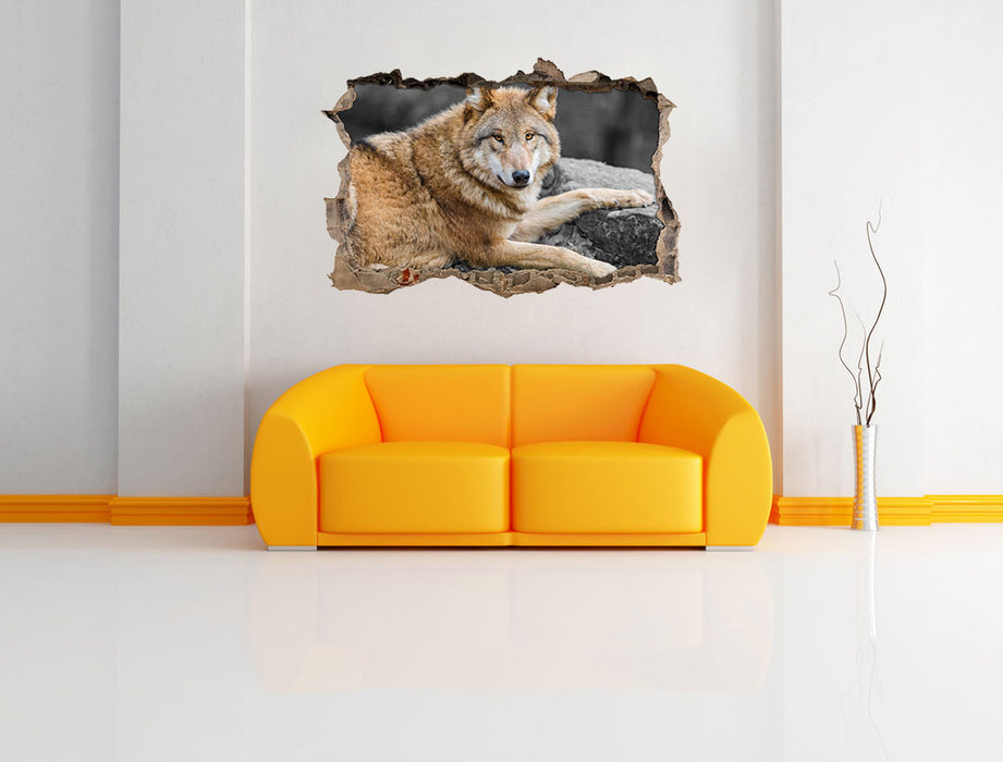 stolzer Wolf auf Stein 3D Wandtattoo Wanddurchbruch Wand