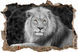 majestätischer Löwe auf Stein 3D Wandtattoo Wanddurchbruch