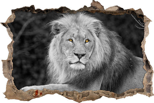 majestätischer Löwe auf Stein 3D Wandtattoo Wanddurchbruch