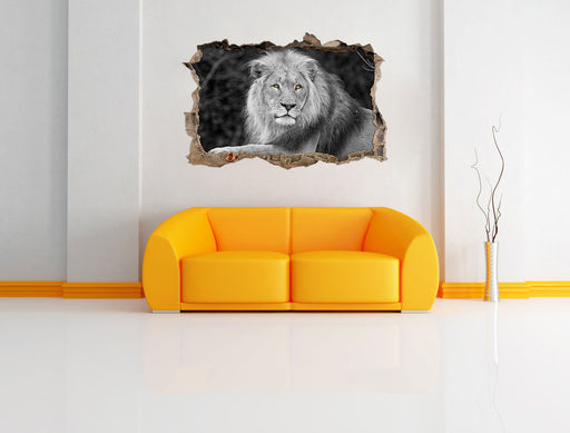 majestätischer Löwe auf Stein 3D Wandtattoo Wanddurchbruch Wand