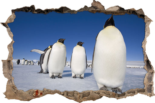Kaiserpiguine in Antarktis  3D Wandtattoo Wanddurchbruch