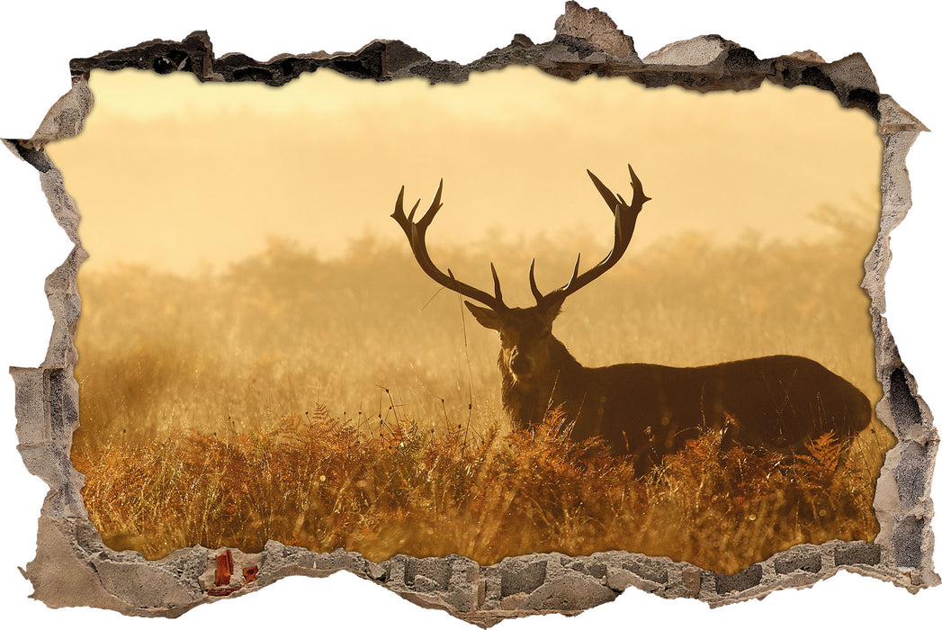 Pixxprint Rotwild Hirsch in Abenddämmerung, 3D Wandtattoo