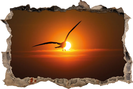 Möwe fliegt in den Sonnenuntergang  3D Wandtattoo Wanddurchbruch