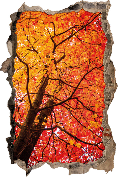 Pixxprint Feurige Herbstblätter, 3D Wandtattoo