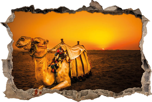 Kamel in Ägypten  3D Wandtattoo Wanddurchbruch