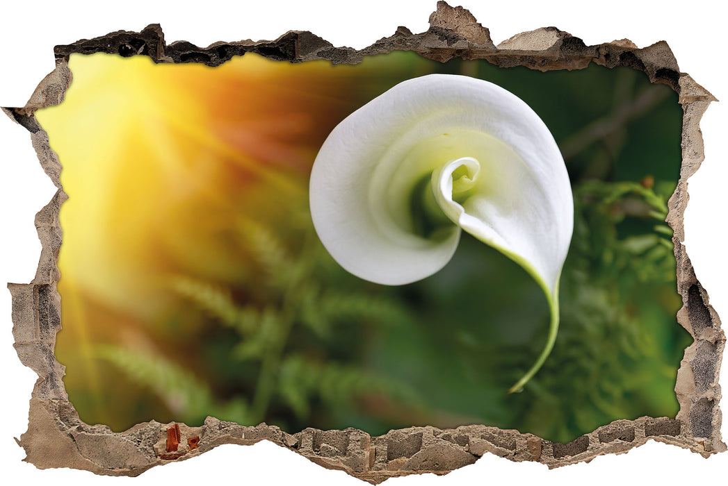 Pixxprint Calla Lilie Blüte, 3D Wandtattoo