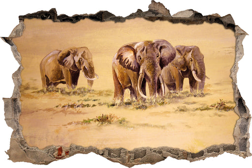 Elefanten in Südafrika  3D Wandtattoo Wanddurchbruch