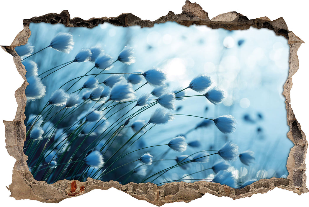 Pixxprint Wollgras am See, 3D Wandtattoo