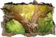 Mächtiger Baum im Wald 3D Wandtattoo Wanddurchbruch