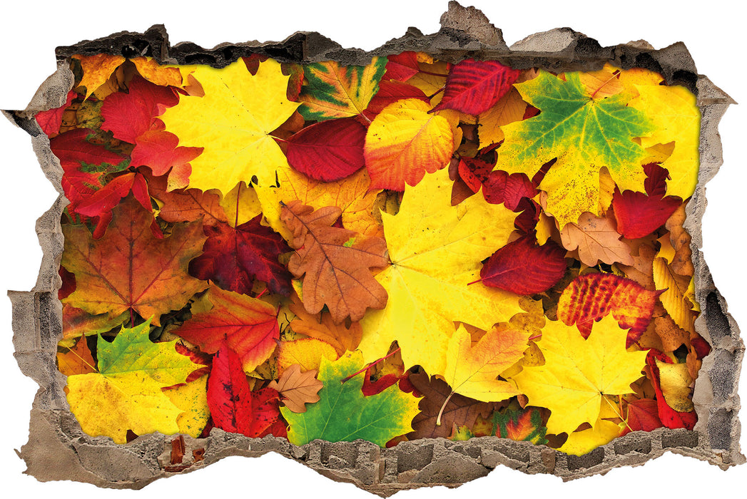 Herbstblätter  3D Wandtattoo Wanddurchbruch