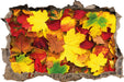 Herbstblätter  3D Wandtattoo Wanddurchbruch
