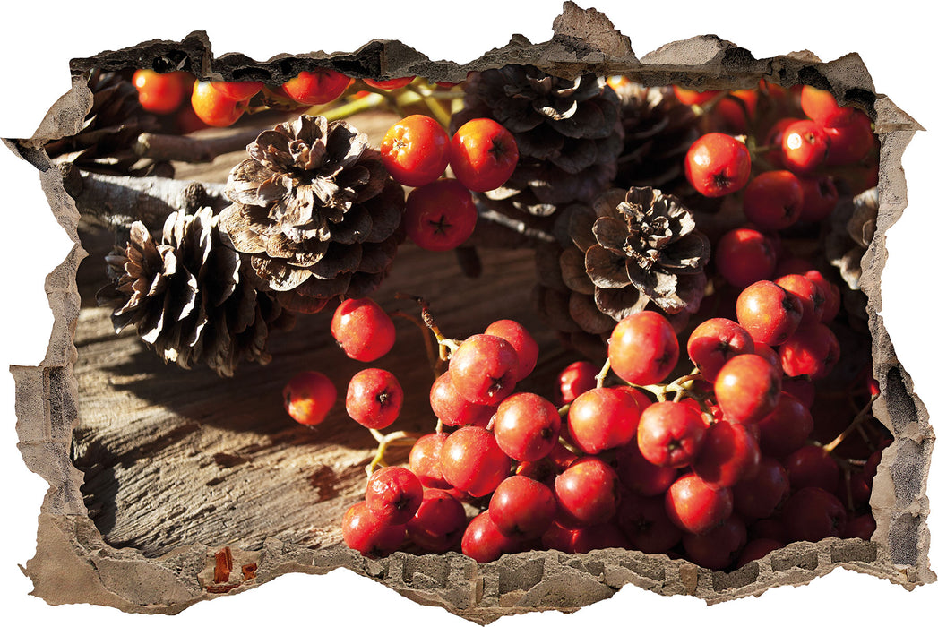 Pixxprint Vogelbeeren und Tannenzapfen, 3D Wandtattoo