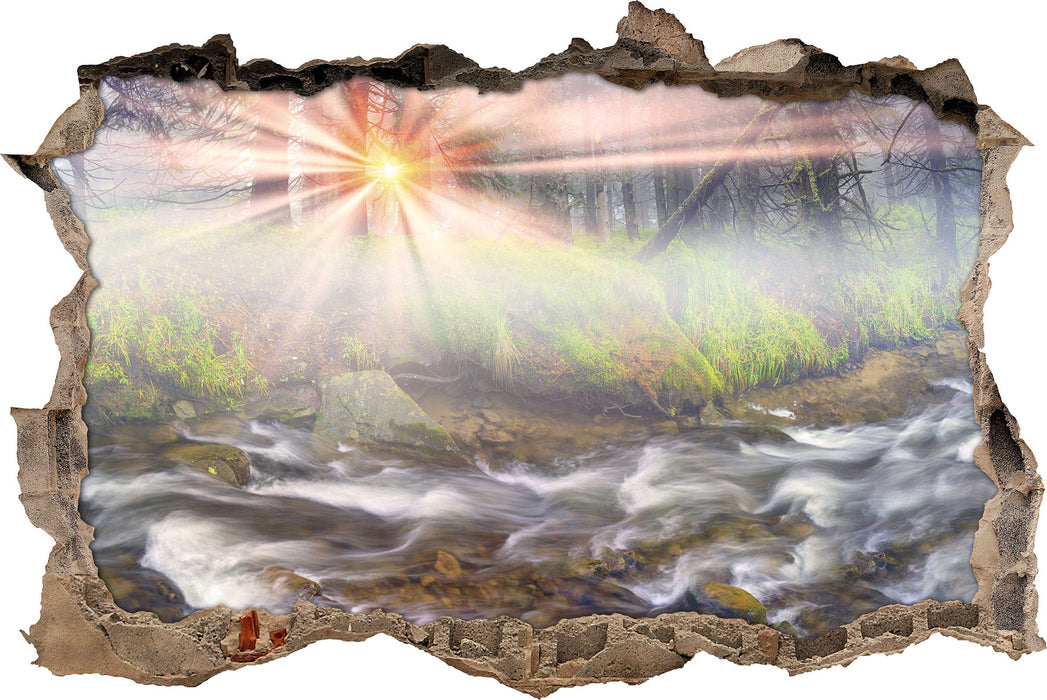 Pixxprint Nebeldickicht im Wald, 3D Wandtattoo