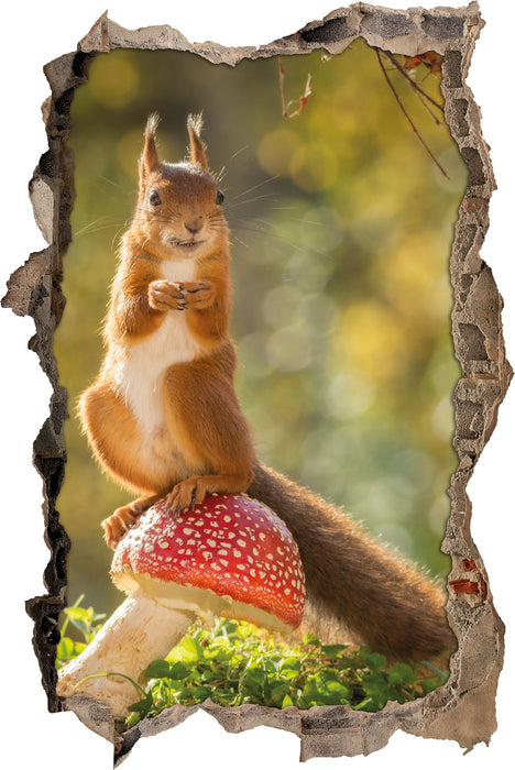 Pixxprint Eichhörnchen auf Fliegenpilz, 3D Wandtattoo