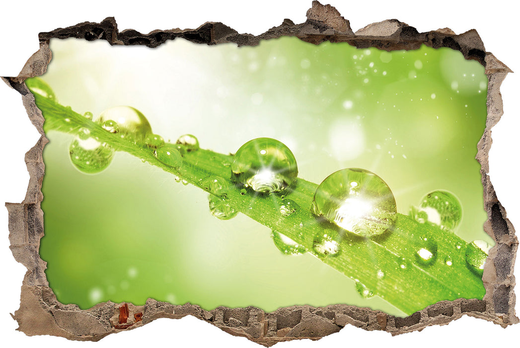 Pixxprint Wassertropfen auf Grashalm, 3D Wandtattoo