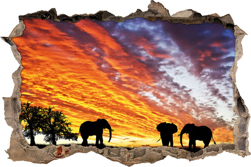 Elefanten in Wüste 3D Wandtattoo Wanddurchbruch
