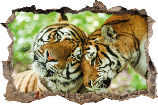 Zwei liebkosende Tiger 3D Wandtattoo Wanddurchbruch