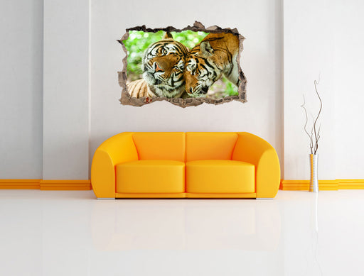 Zwei liebkosende Tiger 3D Wandtattoo Wanddurchbruch Wand