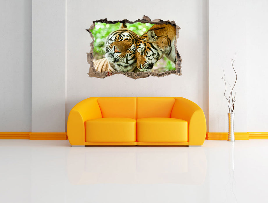 Zwei liebkosende Tiger 3D Wandtattoo Wanddurchbruch Wand