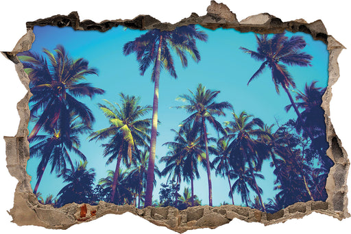 Tropische Palmen  3D Wandtattoo Wanddurchbruch