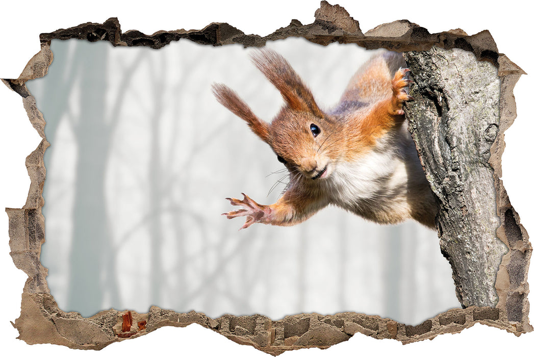 Pixxprint Neugierig rotes Eichhörnchen, 3D Wandtattoo