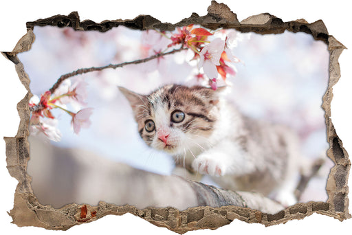 Süßes Kätzchen im Kirschbaum  3D Wandtattoo Wanddurchbruch