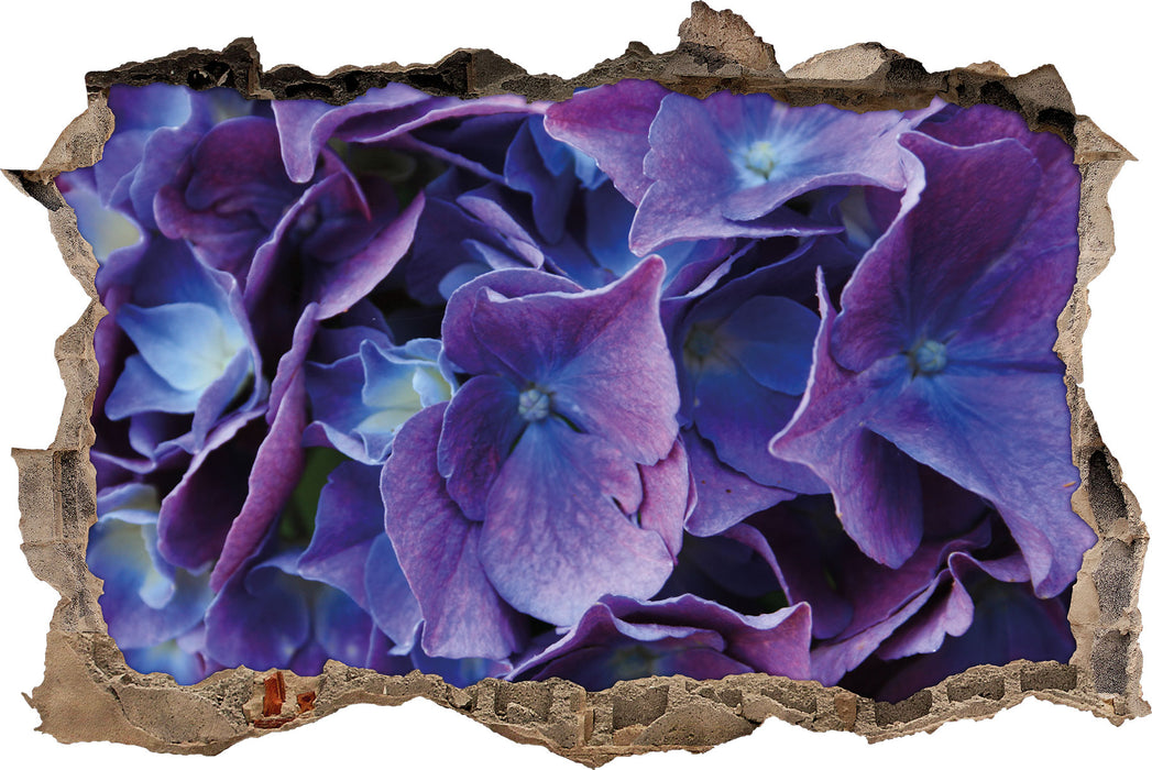 Pixxprint Blaue Hortensien Blüte, 3D Wandtattoo