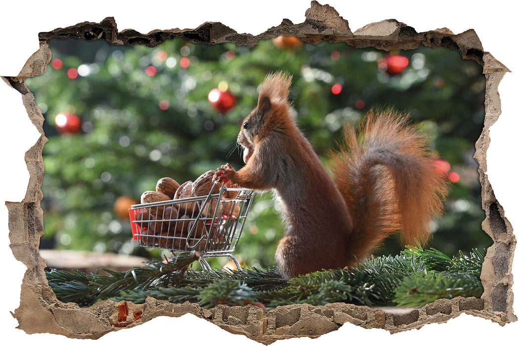 Pixxprint Eichhörnchen, 3D Wandtattoo