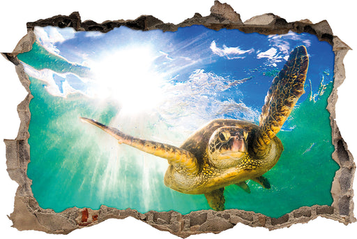 Grüne Meeresschildkröte  3D Wandtattoo Wanddurchbruch