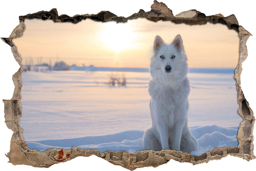 Weißer Wolf im Schnee 3D Wandtattoo Wanddurchbruch