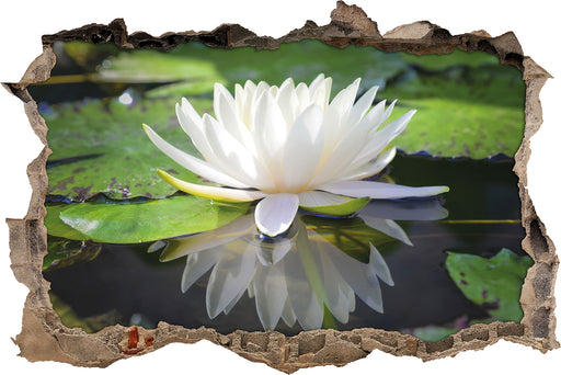 Weiße Lotusblume im Wasser 3D Wandtattoo Wanddurchbruch