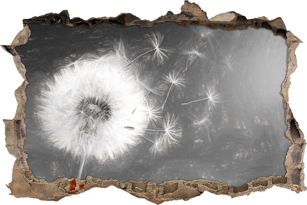 Pixxprint Löwenzahn Samen Kunst B&W, 3D Wandtattoo