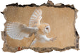 Fliegende Weiße Eule bei der Jagd 3D Wandtattoo Wanddurchbruch