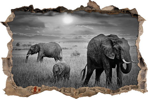 Elefanten in der Savanne 3D Wandtattoo Wanddurchbruch