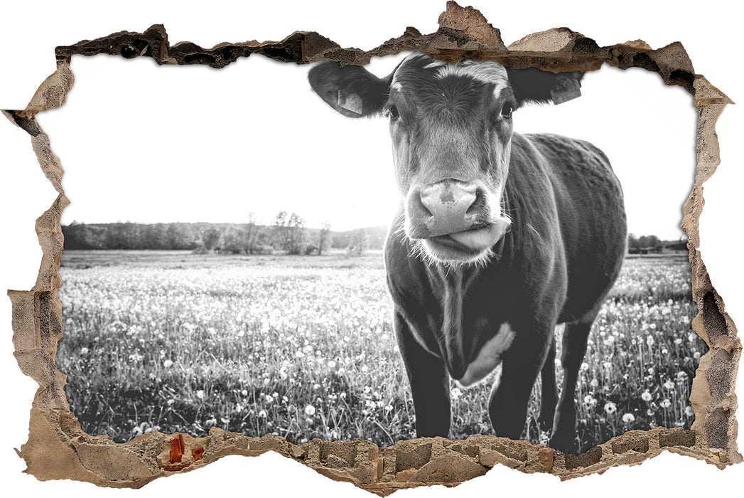 Pixxprint Kuh auf Wiese B&W, 3D Wandtattoo