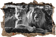 interessiertes Löwenpaar Kunst B&W 3D Wandtattoo Wanddurchbruch