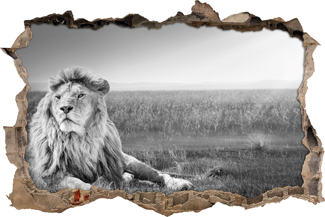 Pixxprint Majestätischer Löwe Kunst B&W, 3D Wandtattoo