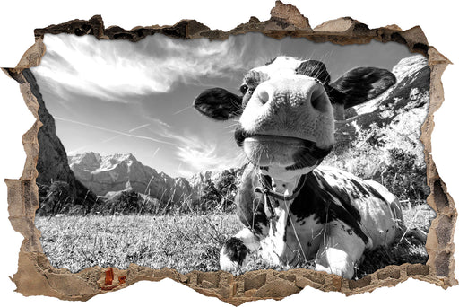 Kuh im Karwendelgebirge Kunst B&W 3D Wandtattoo Wanddurchbruch