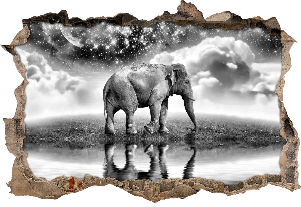 Pixxprint Elefant, Wiese, Himmel, Afrika, 3D Wandtattoo